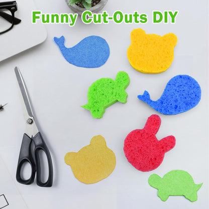 10 pack Sponges