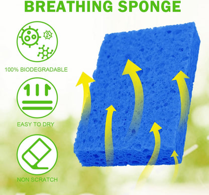 10 pack Sponges