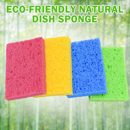 10 pack Sponges