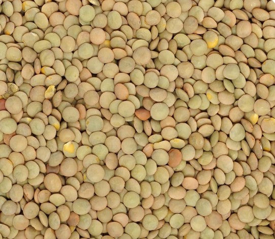 Dried Lentils, 1 pound bag