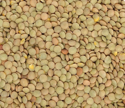 Dried Lentils, 1 pound bag